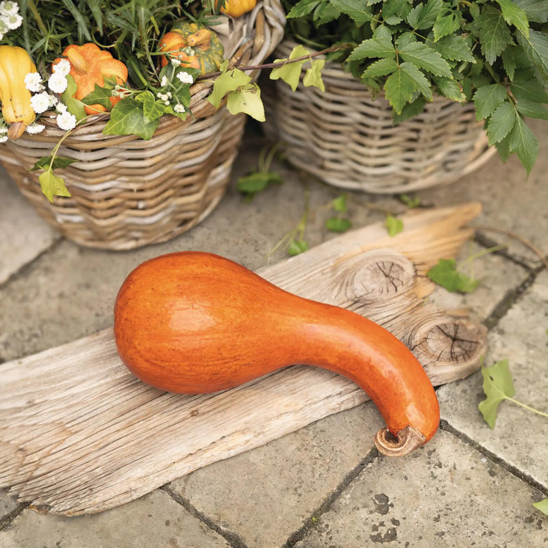 Zucca Decorativa Arancione in Polyresina 29x13 cm