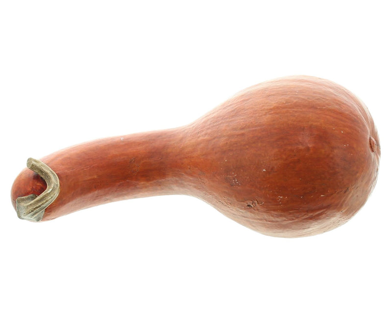 Zucca Decorativa Arancione in Polyresina 29x13 cm