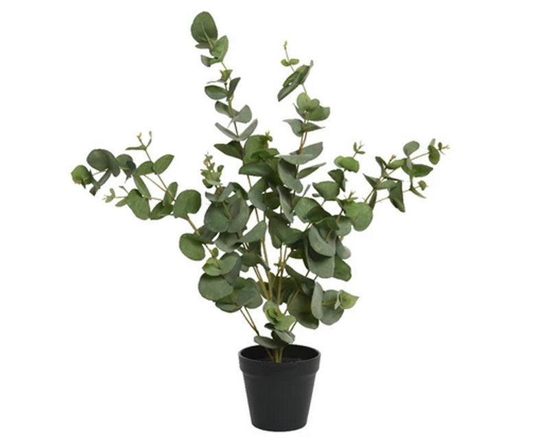 Fiore artificiale Eucalypthus in pot - Arredo Casa da Sogno