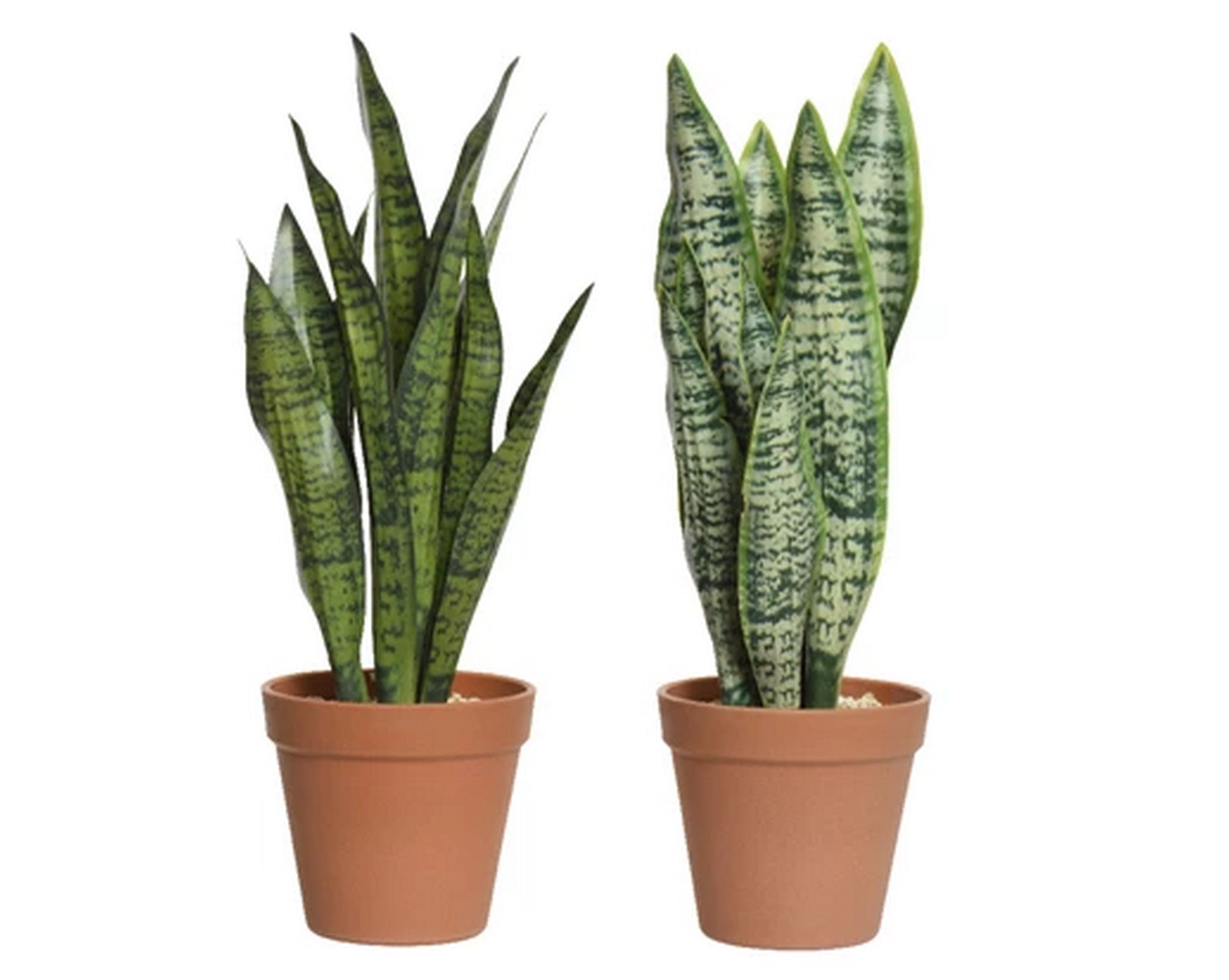 Pianta artificiale Sansevieria - Arredo Casa da Sogno