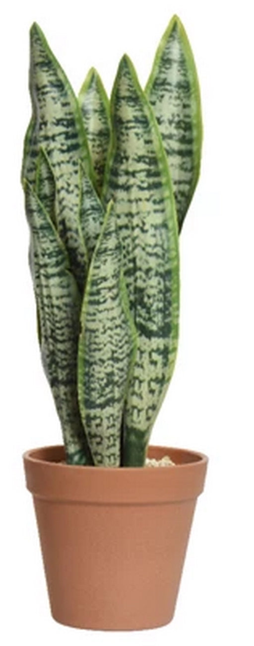 Pianta artificiale Sansevieria - Arredo Casa da Sogno