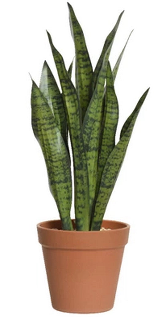 Pianta artificiale Sansevieria - Arredo Casa da Sogno