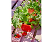 Piccone da giardino in ferro a forma di fragola - Arredo Casa da Sogno