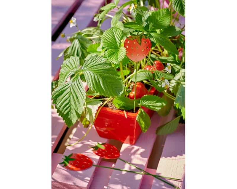 Piccone da giardino in ferro a forma di fragola - Arredo Casa da Sogno