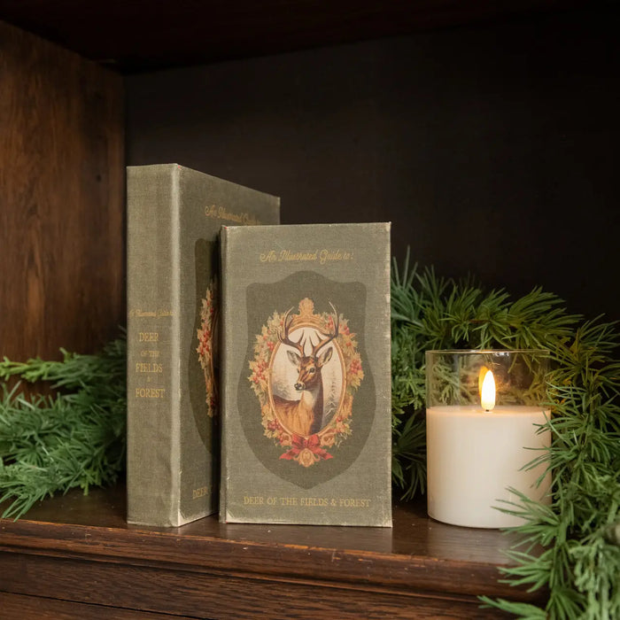 Libro cervo 17 ,8 cm