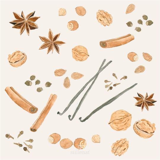 Tovaglioli Natalizi 20 Pezzi con Cannella e Anice Stellato Ib laursen