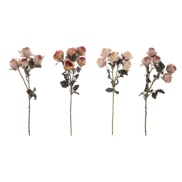 Rosa Blanc Mariclò Florileggio 43 cm