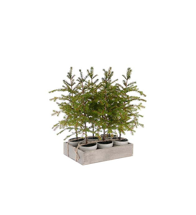 Albero in vaso H 45 cm