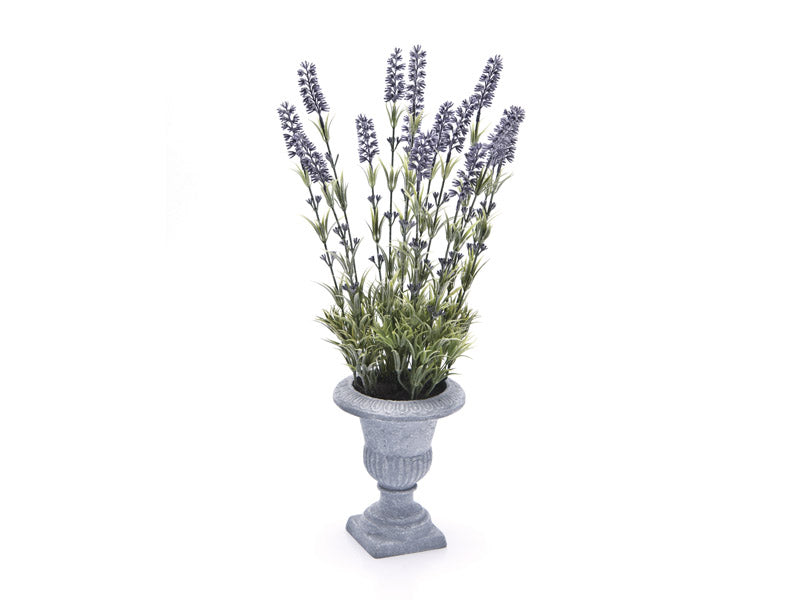 Vaso in resina grigio con lavanda -Bruco