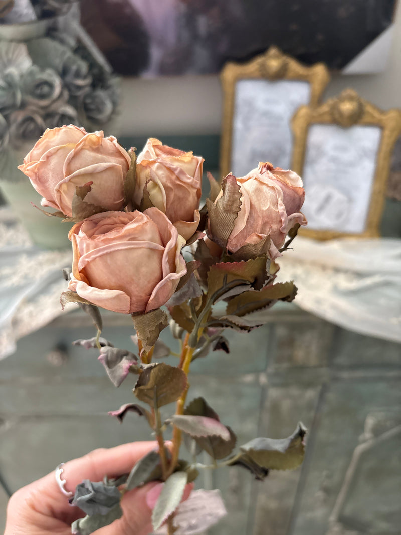 Rosa Blanc Mariclò Florileggio 43 cm