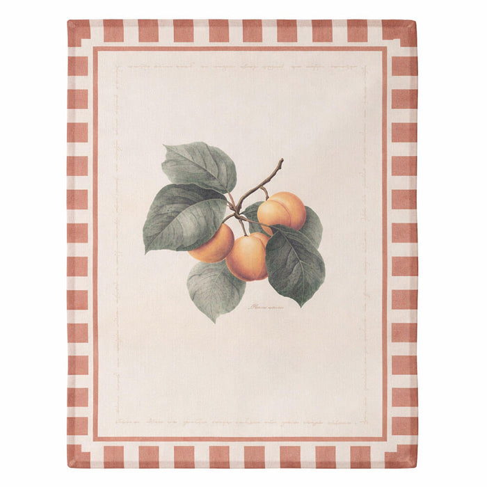 Canovaccio albicocche 50×70 cm Blanc Mariclò