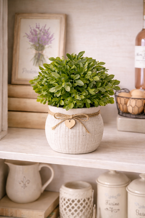 Cespuglio di Bosso Artificiale 24 x 20,3 cm