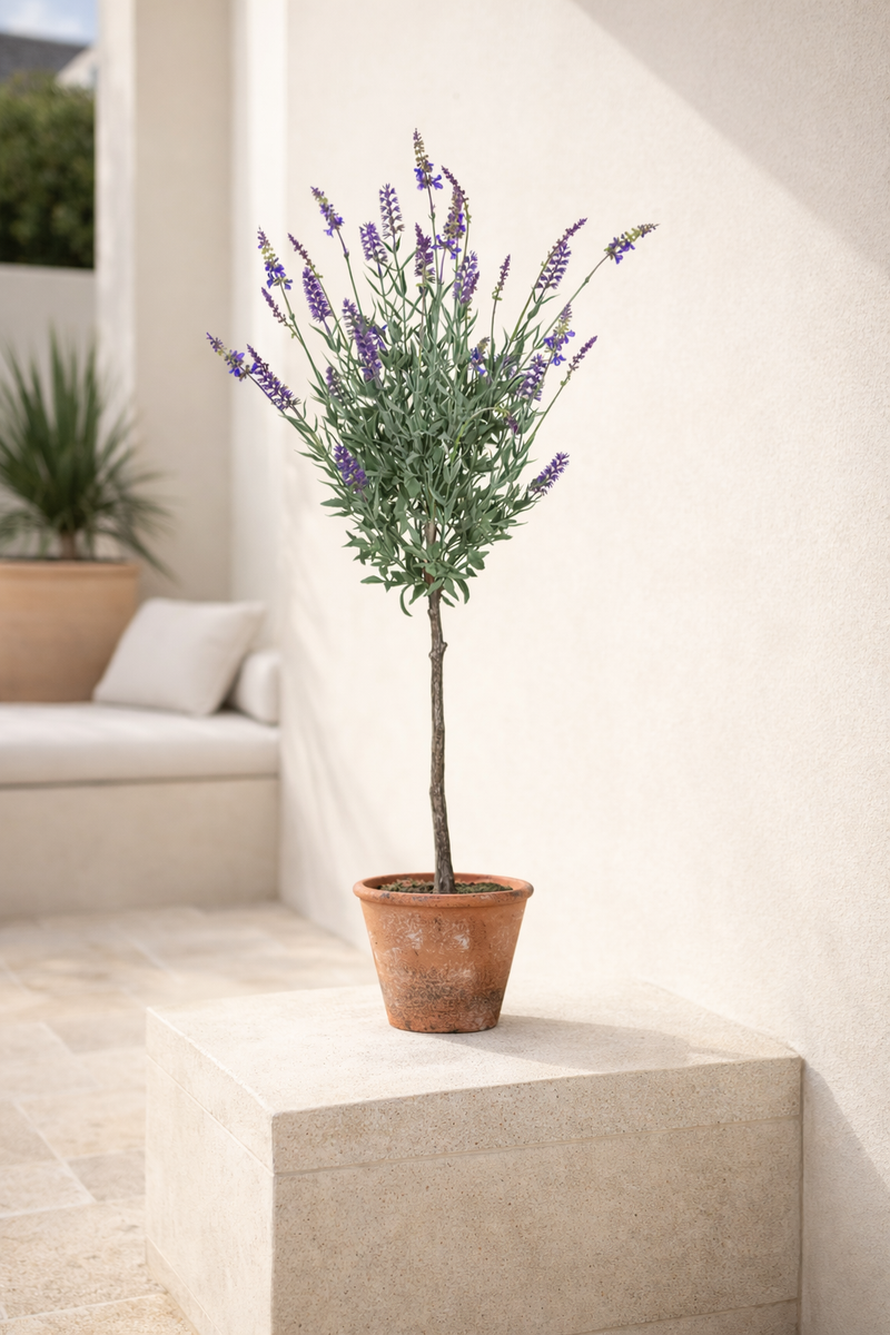 Albero di Lavanda in Vaso 68,6 cm