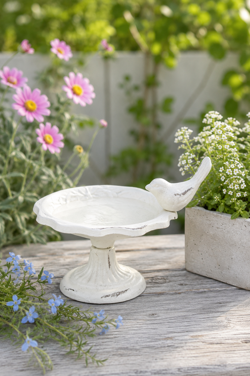 Vaschetta per Acqua e Mangime per Uccelli Clayre & Eef