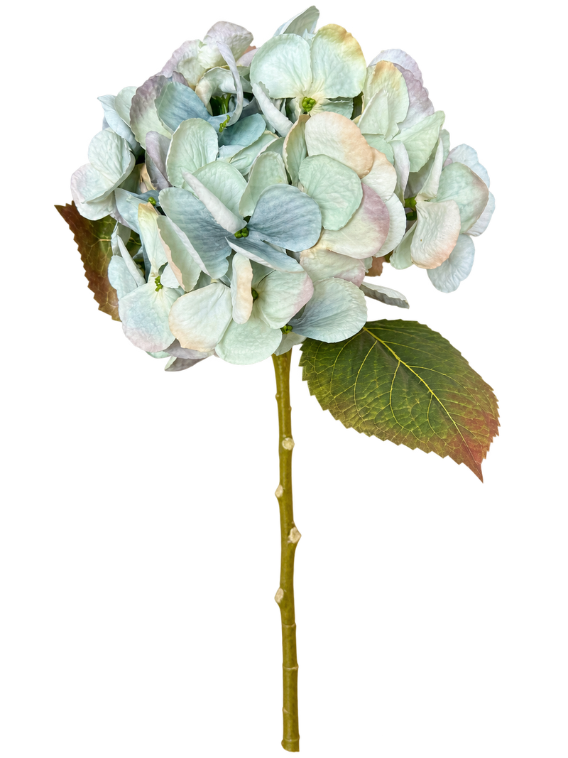 Ortensia Dry Artificiale  H 50 cm Azzurro salvia  – EDG Enzo De Gasperi