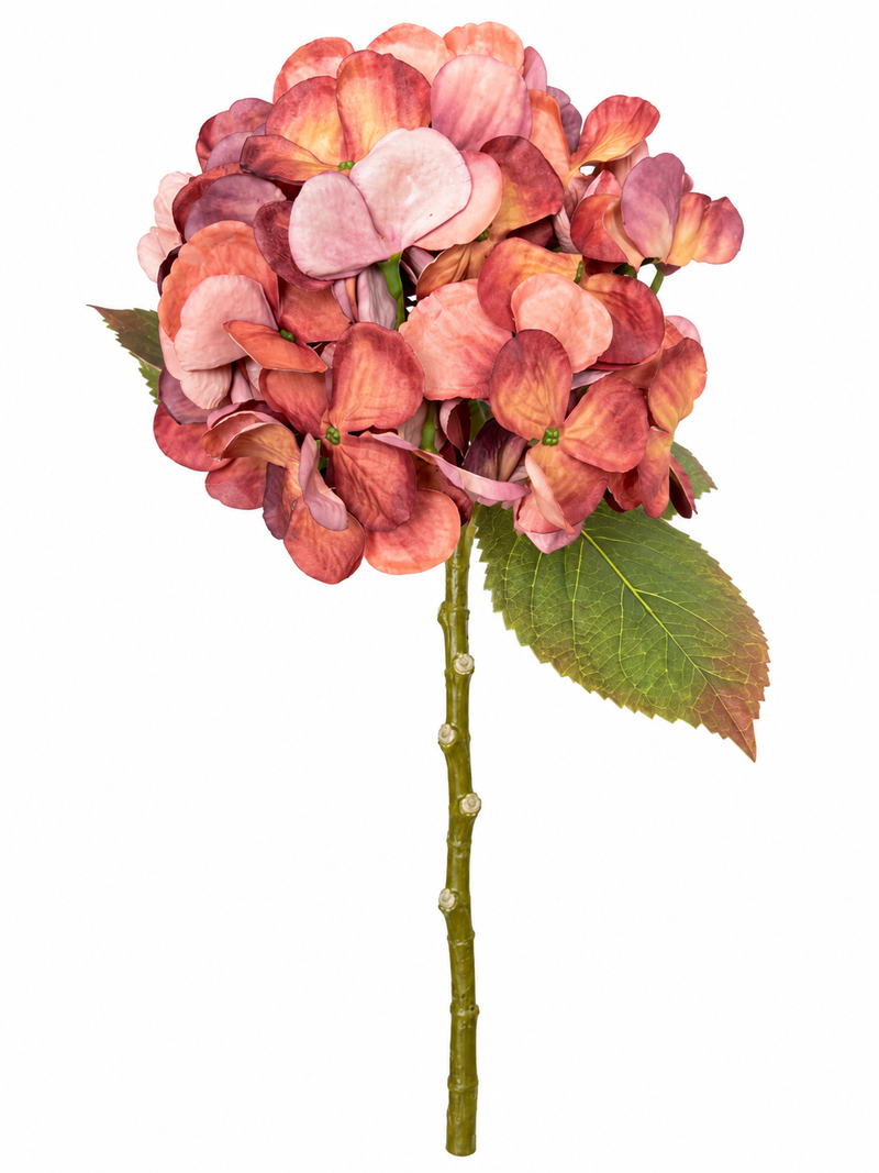 Ortensia Dry Artificiale  H 50 cm Rosa terracotta   – EDG Enzo De Gasperi