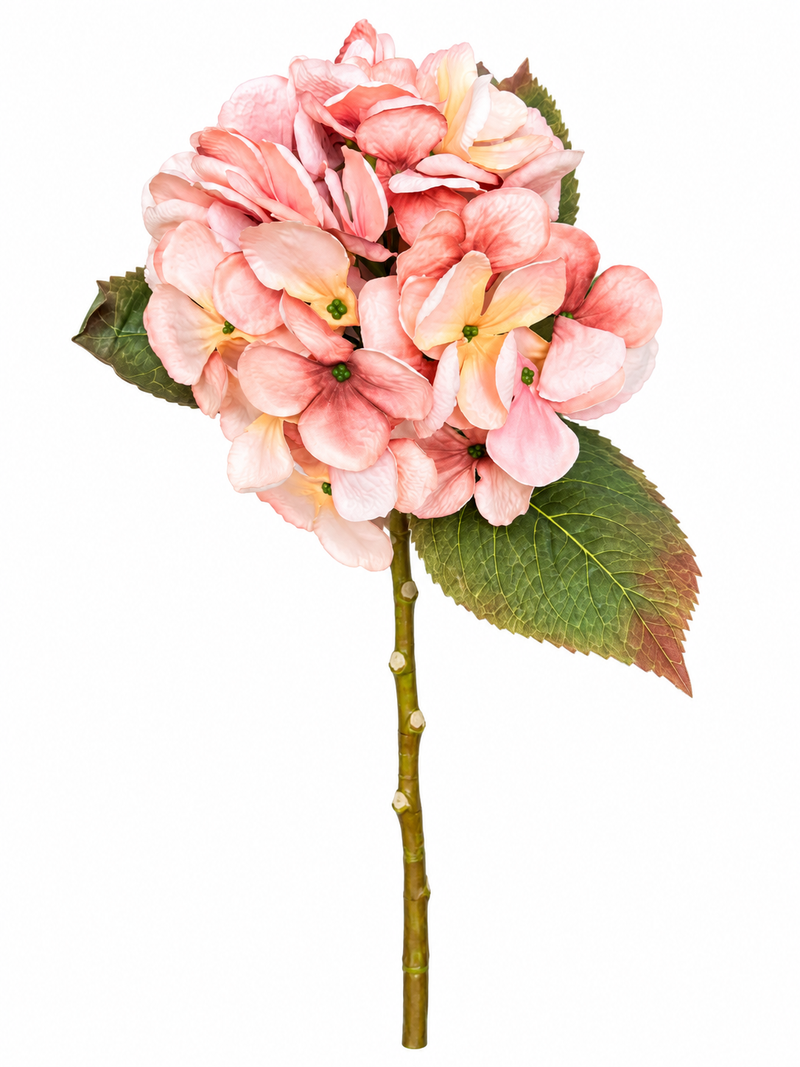 Ortensia Dry Artificiale  H 50 cm Rosa Pesca   – EDG Enzo De Gasperi