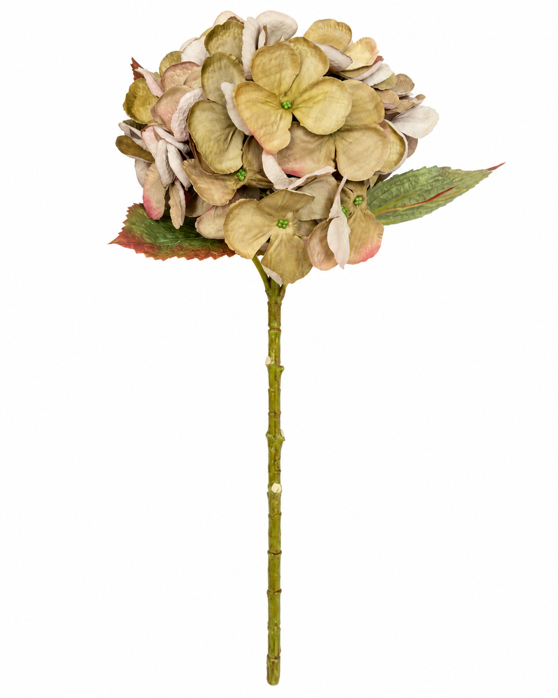 Ortensia Dry Artificiale  H 50 cm Verde Oliva – EDG Enzo De Gasperi