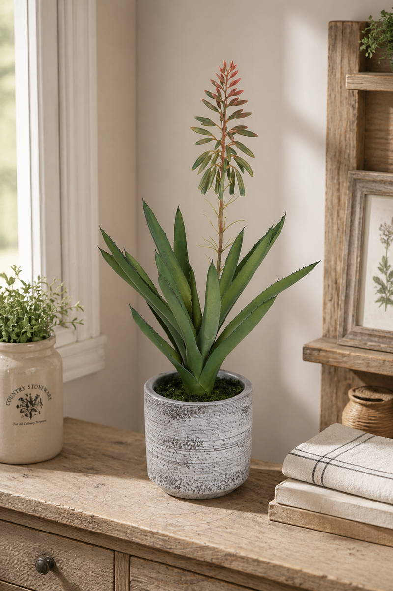 Pianta artificiale aloe H 36 cm