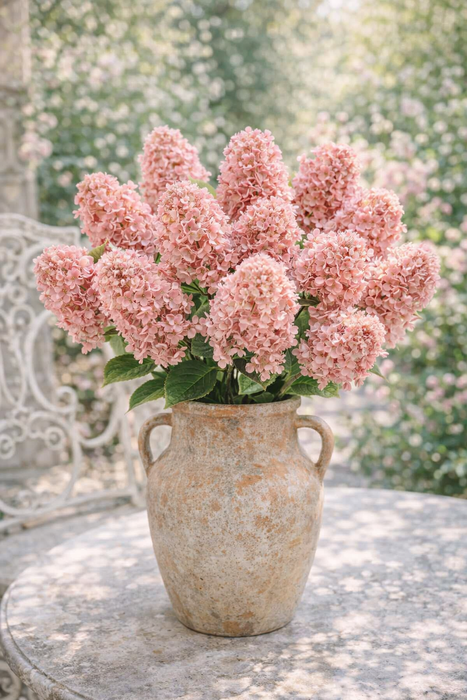 Ortensia Decorativo a Grappolo Rosa Sfumato – Altezza 82 cm