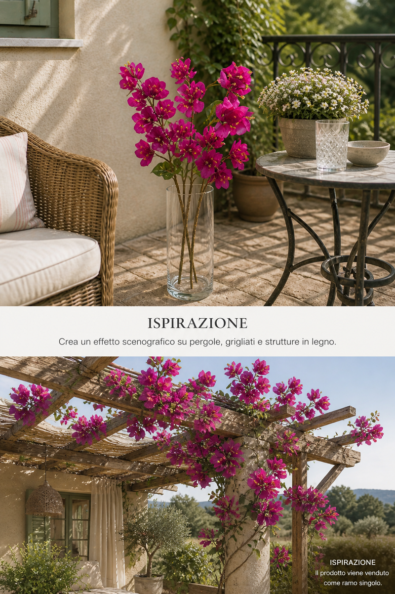 Bouganvillea h 70 cm Edg