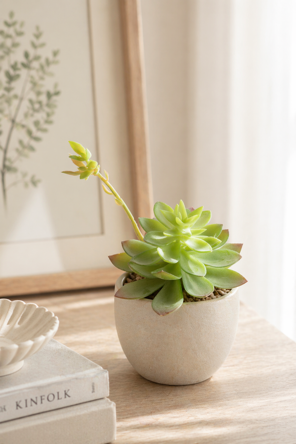 Pianta grassa artificiale Echeveria cactus H 21 cm