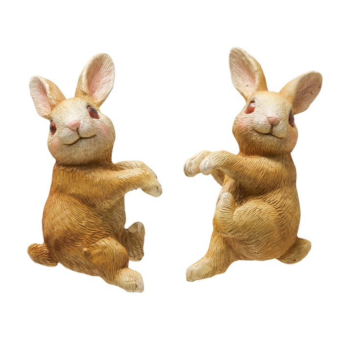 Rabbit Hanging Boltze 