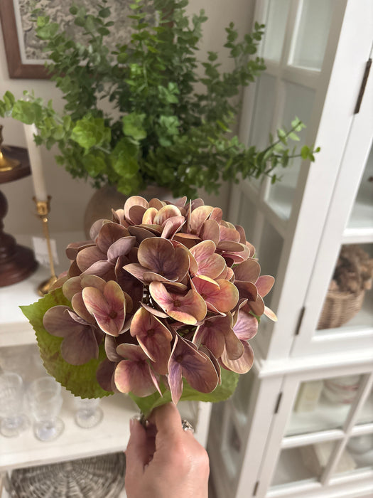Ortensia Real touch con foglie -Edg