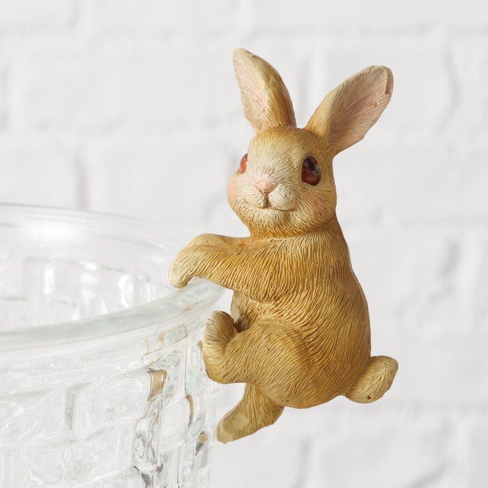 Rabbit Hanging Boltze 