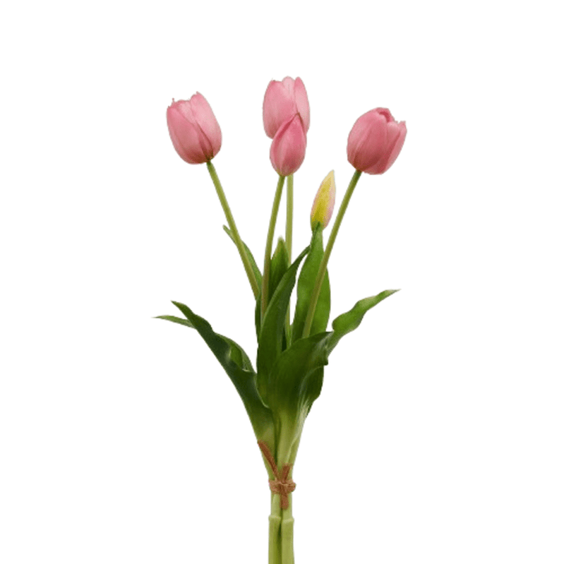 Bouquet 5 Tulipes olis Rose mauve H 40 cm - EDG