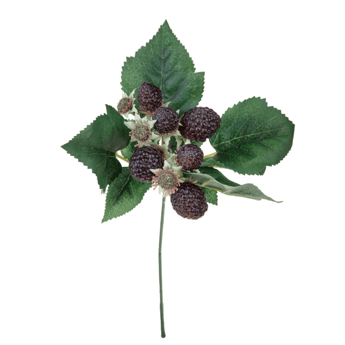 Pics de mûres artificiels