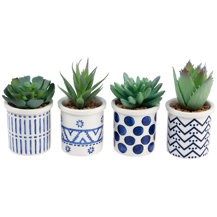 Potted plant
