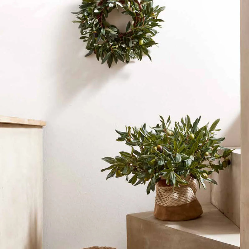 Mazzo di Ulivo con Olive H41 cm Edg