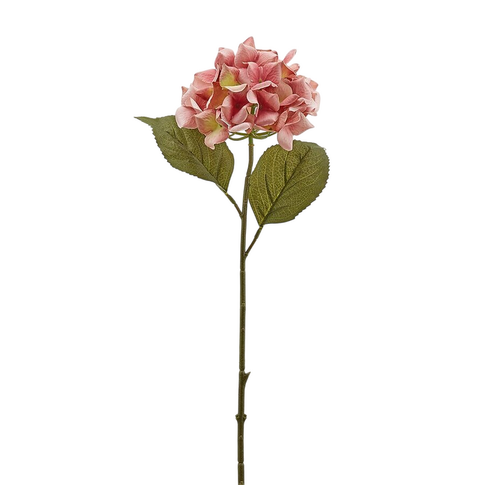 Hortensia Epoque Rose H 53 cm -Bord