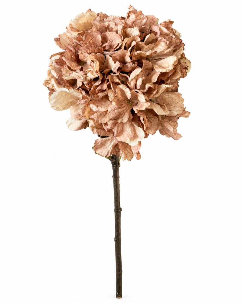 Ortensia Artificiale Beige Rosato Blanc Mariclò H 120 cm
