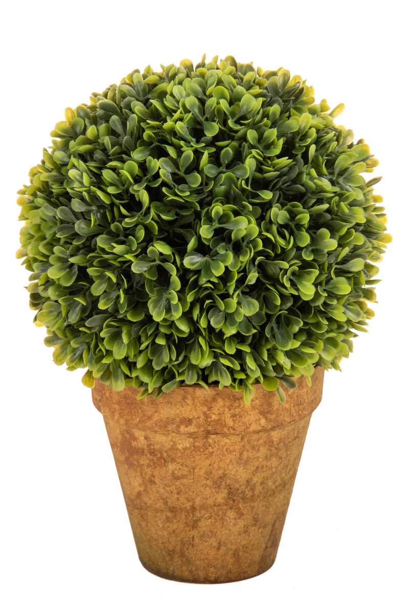 Bosso Artificiale in Vaso 23 cm