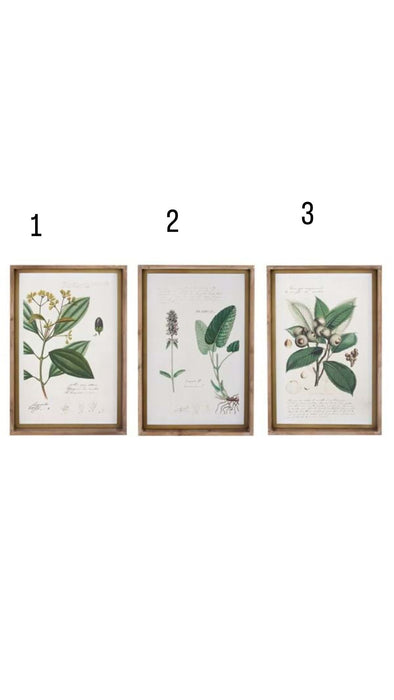 Quadro Botanico Blanc Mariclo'