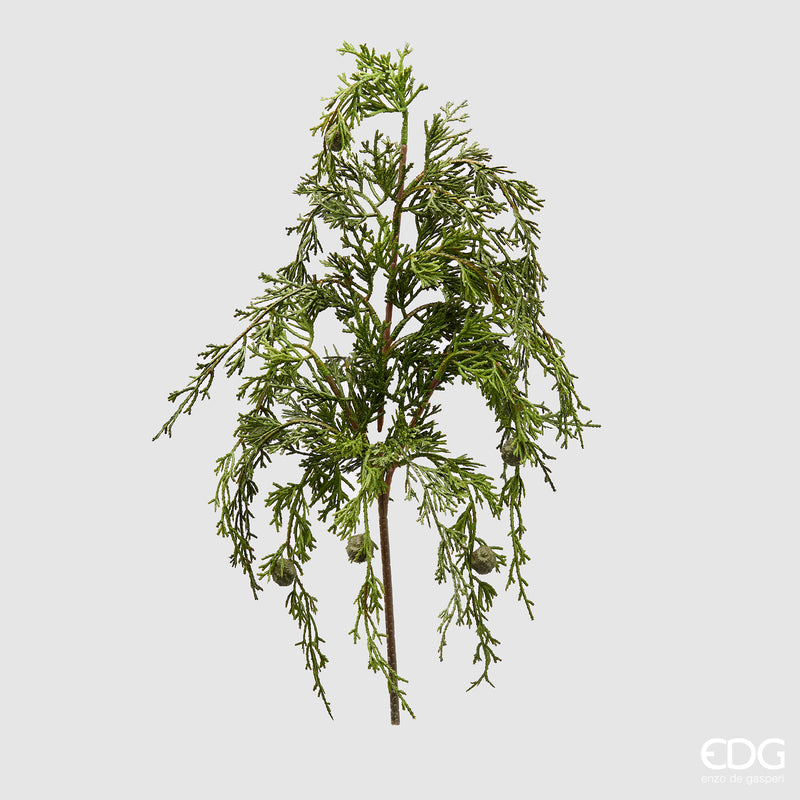 Ramo Natalizio Cadente Thuja Verde H 55 cm – EDG