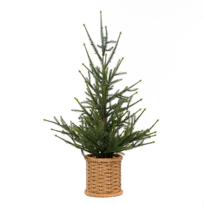 Albero di pino con vaso H 66 cm -Goodwill