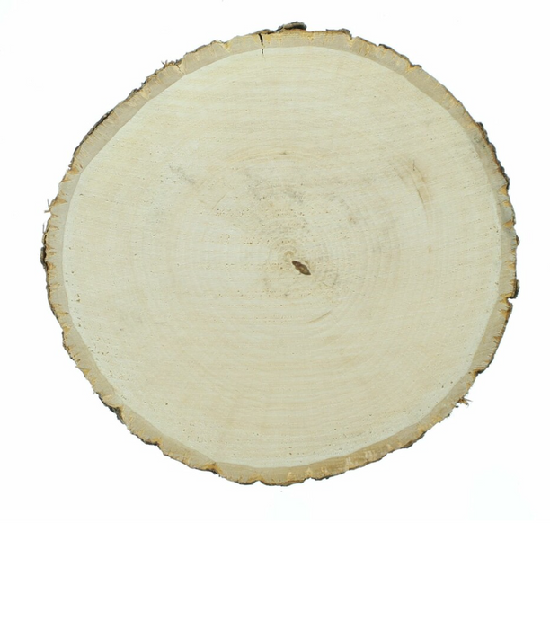 Disco legno di tiglio naturale 15 cm