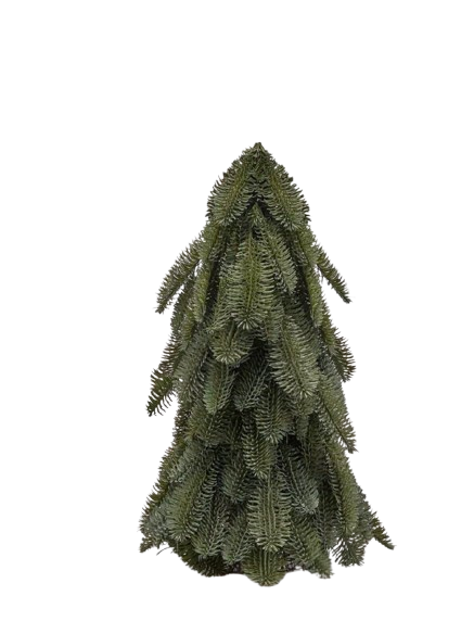 Topiary Pino Nobilis H 54 cm -Edg