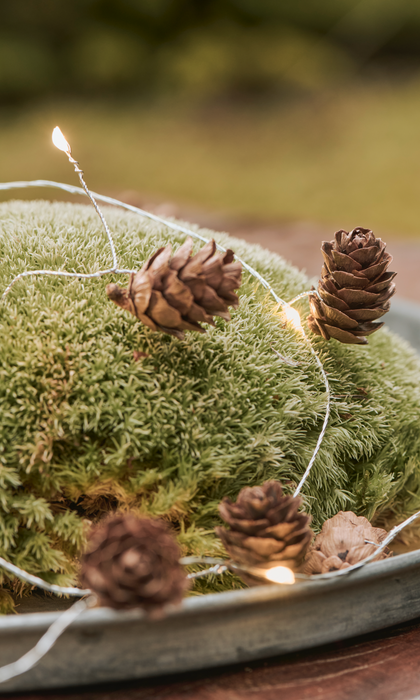 Ib Laursen LED pine cone lights