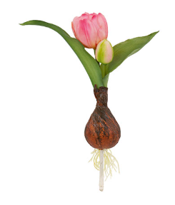 Tulipano Artificiale Rosa Sfumato con Bulbo e Radici Decorative H 20 cm