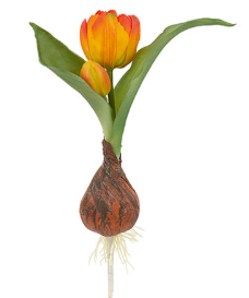 Tulipano Artificiale Arancio Sfumato con Bulbo e Radici Decorative H 20 cm