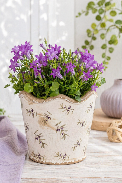 Vaso in ceramica con motivo olive Clayre & eef