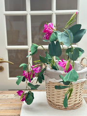 Ramo di bauhinia artificiale 140 cm - Arredo Casa da Sogno