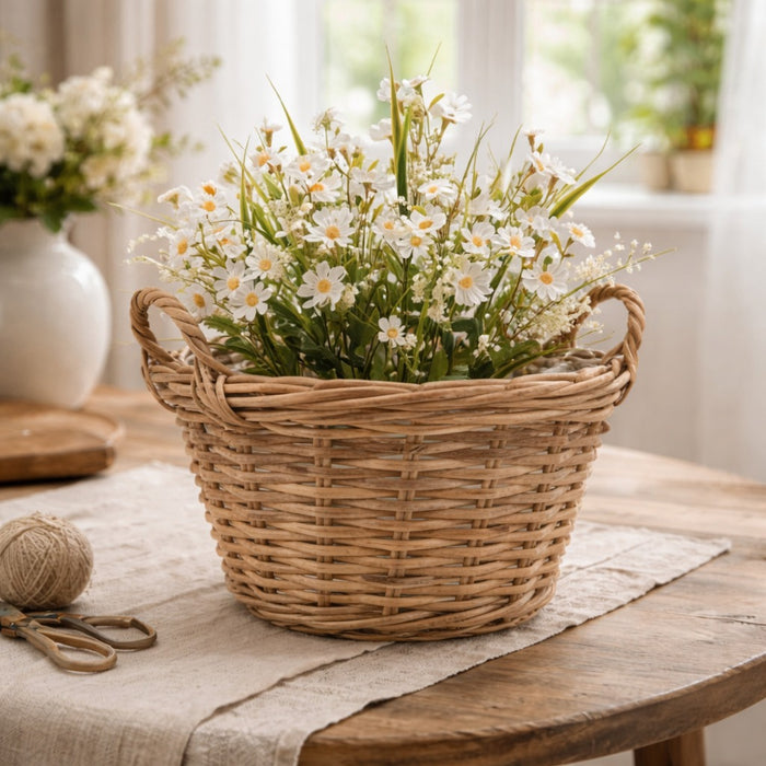 Margherita Cespuglio Bianca h.50 Edg