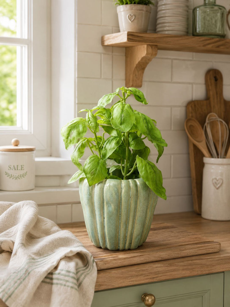 Artificial basil pot