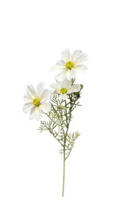 Margherita cosmos grande a 3 fiori con foglie - Arredo Casa da Sogno
