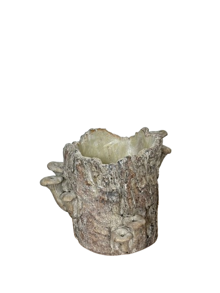 Vaso effetto corteccia con funghi